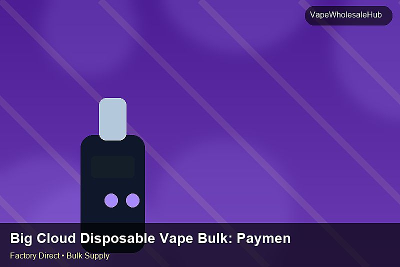 Big Cloud Disposable Vape Bulk — Big Cloud Disposable Vape Bulk: Payment Terms | 2026 Edition photo 1