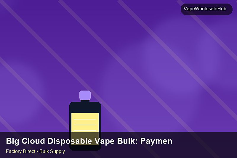 Big Cloud Disposable Vape Bulk — Big Cloud Disposable Vape Bulk: Payment Terms | 2026 Edition photo 2