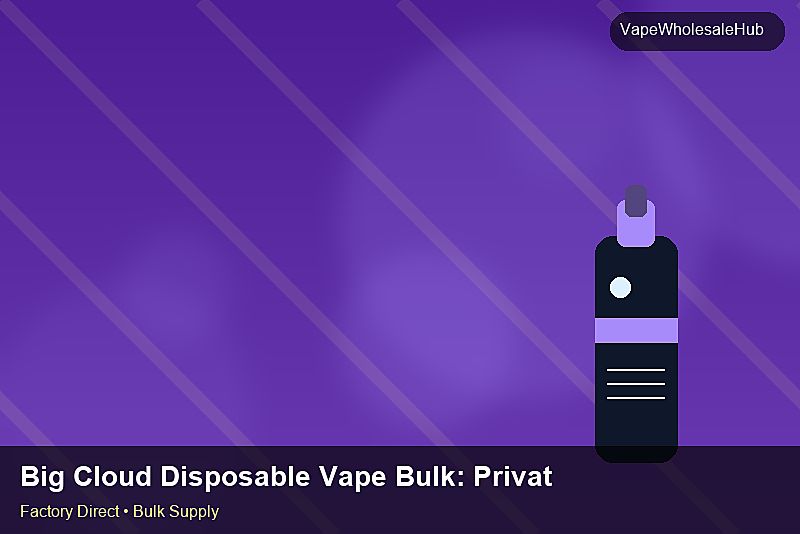Big Cloud Disposable Vape Bulk — Big Cloud Disposable Vape Bulk: Private Label Options | 2026 Edition photo 2