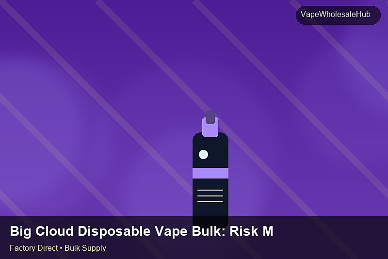 Big Cloud Disposable Vape Bulk — Big Cloud Disposable Vape Bulk: Risk Management | 2026 Edition photo 1