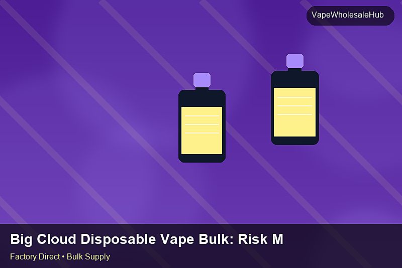 Big Cloud Disposable Vape Bulk — Big Cloud Disposable Vape Bulk: Risk Management | 2026 Edition photo 2